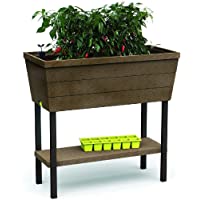Keter - Mini huerto en casa Urban Bloomer con base para cultivo- Color marrón